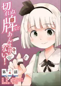 touhou-the-tiles-that-i-cannot-cut-are-next-to-none
