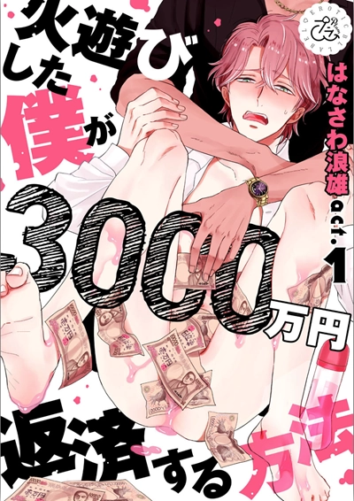 30-hanasawa-namio-hiasobishita-boku-ga-thirty-million-yen-hensai-suru-houhou