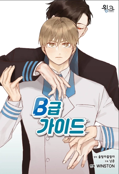b-grade-guide-b