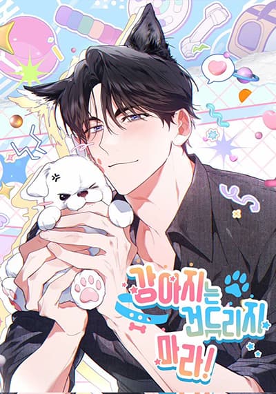 Dont-Mess-With-the-Puppy