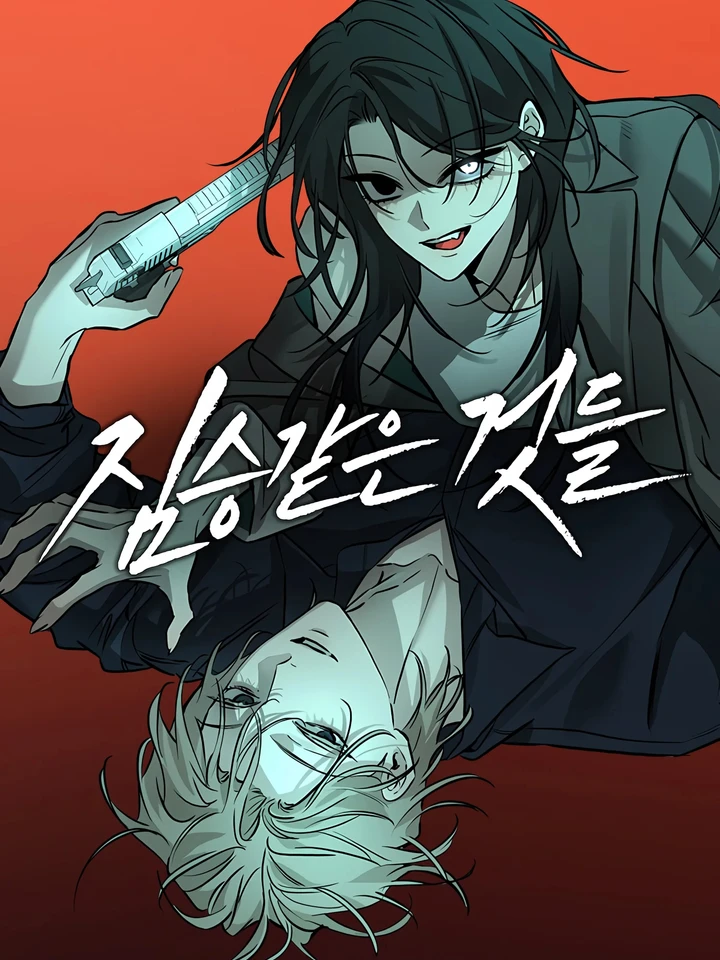 now-ka-ze8kttmec0pv