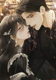 fallen-contract