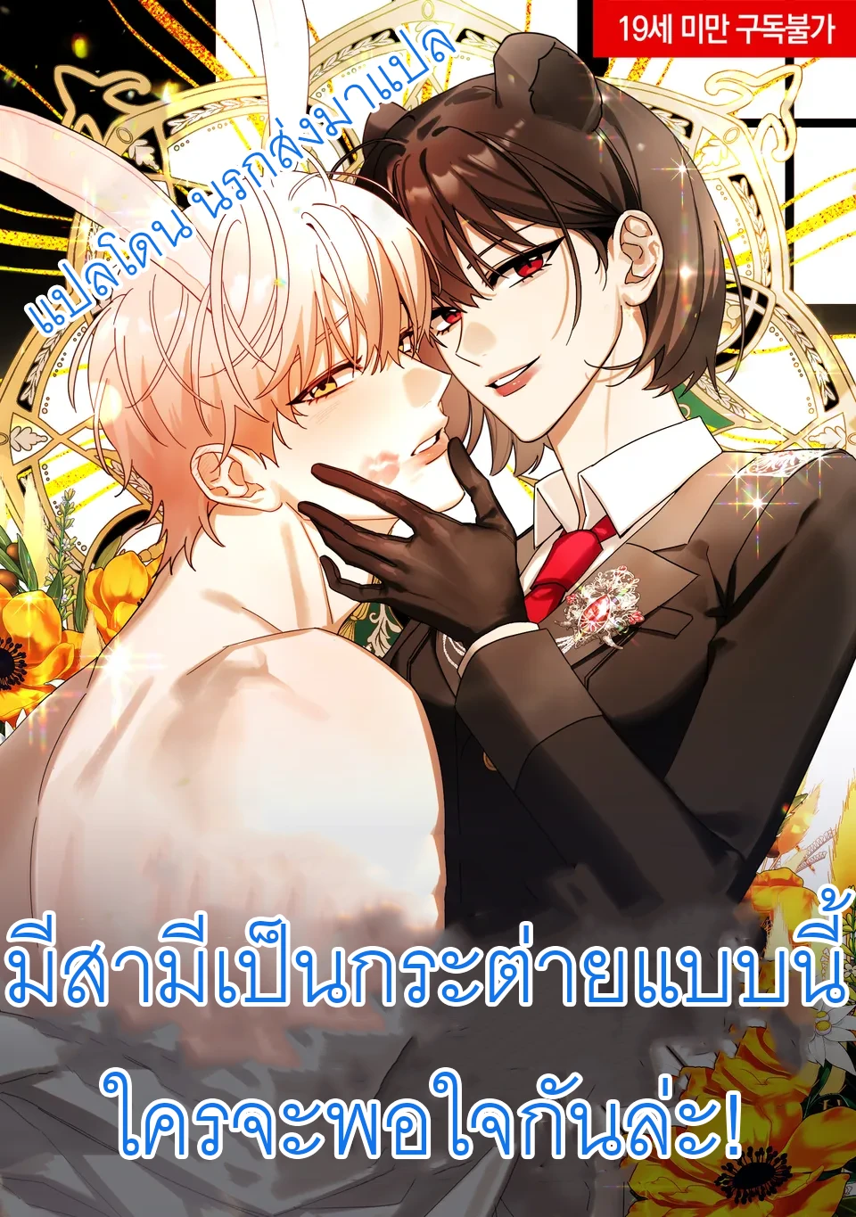 now-ka-3178gtgd09hh