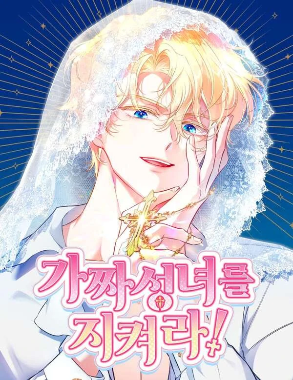 protect-the-fake-saintess