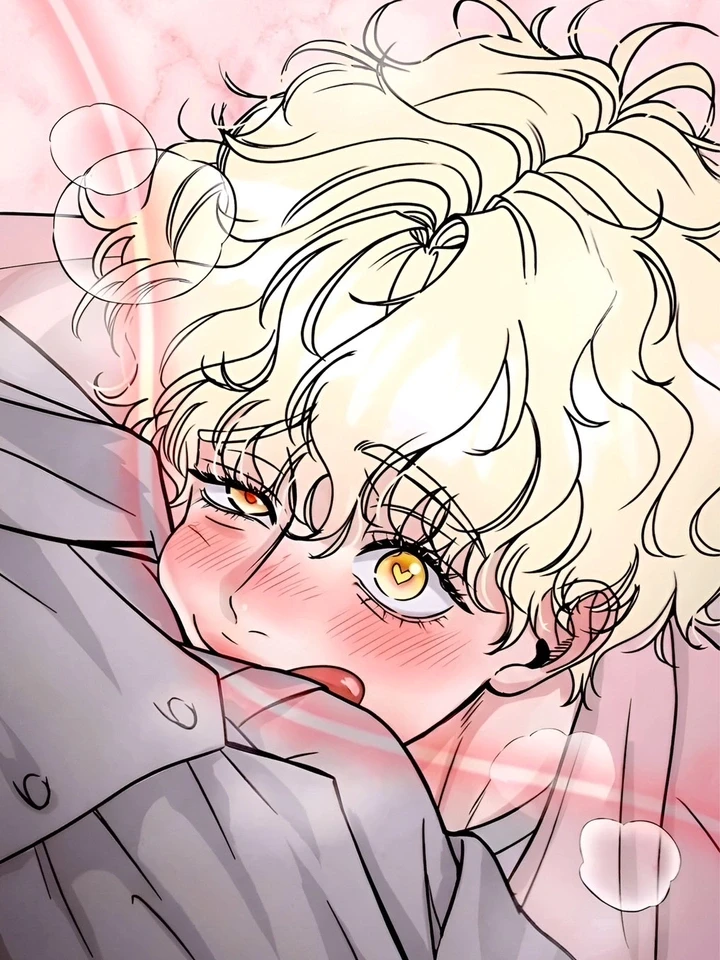 rookie-scammer-caught-a-bear