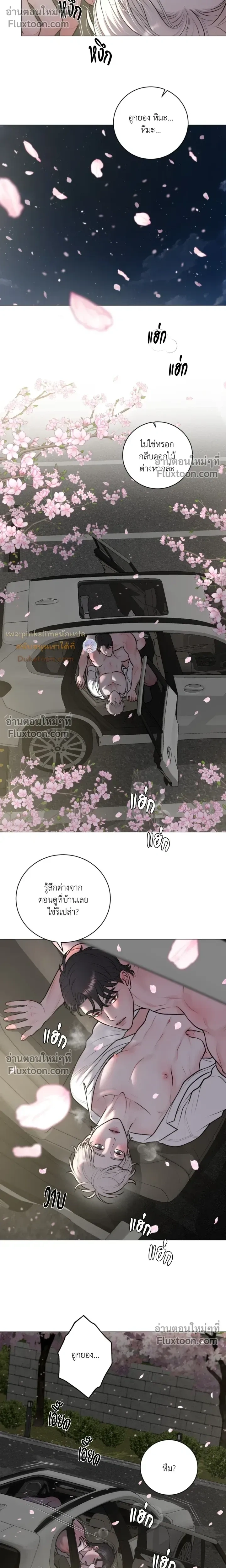 Illusion หน้า 8