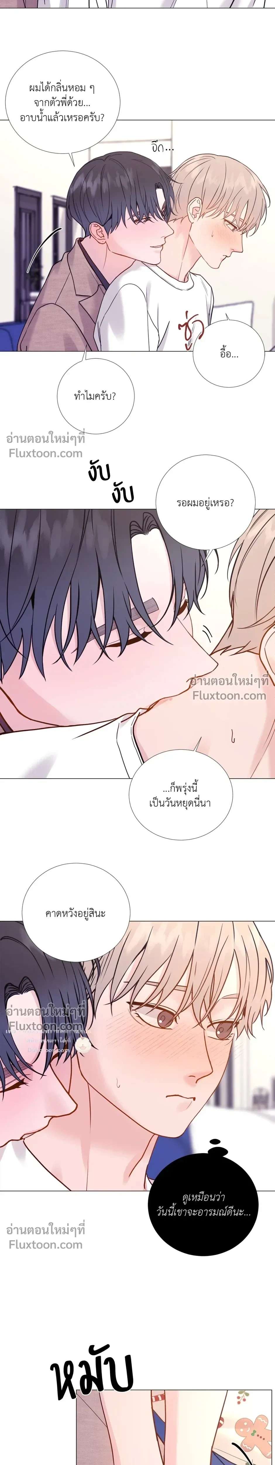 My Suha หน้า 4