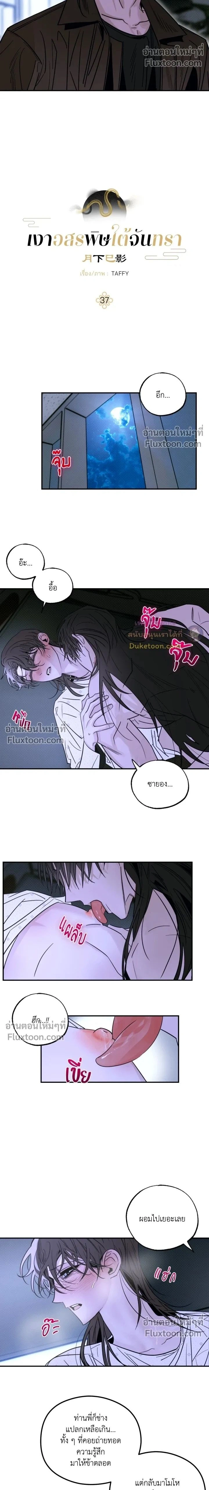 Snake Shadow หน้า 2
