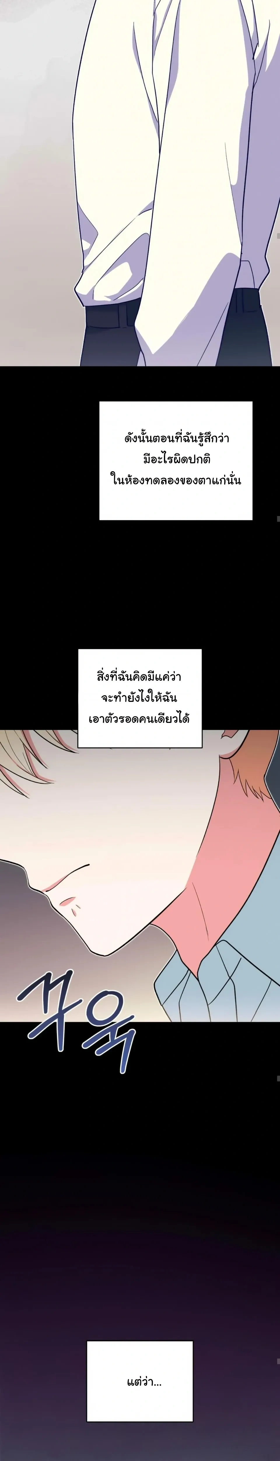 The Atmosphere of the Novel is in Crisis หน้า 17