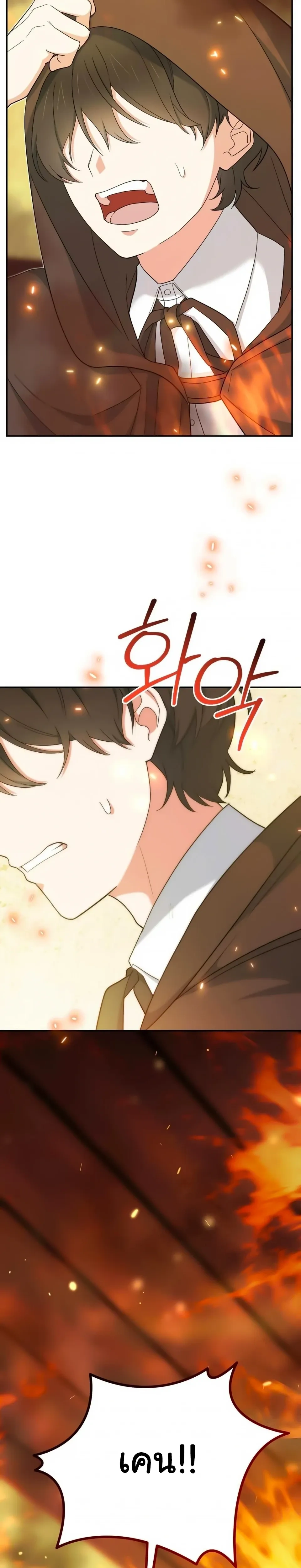 The Atmosphere of the Novel is in Crisis หน้า 29