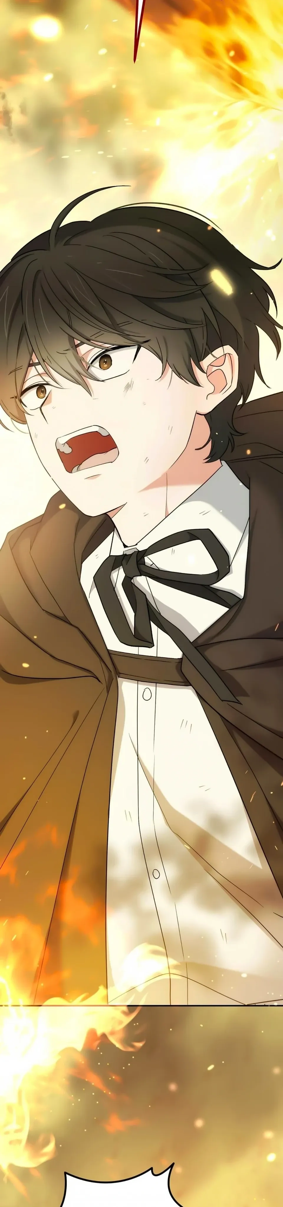 The Atmosphere of the Novel is in Crisis หน้า 30