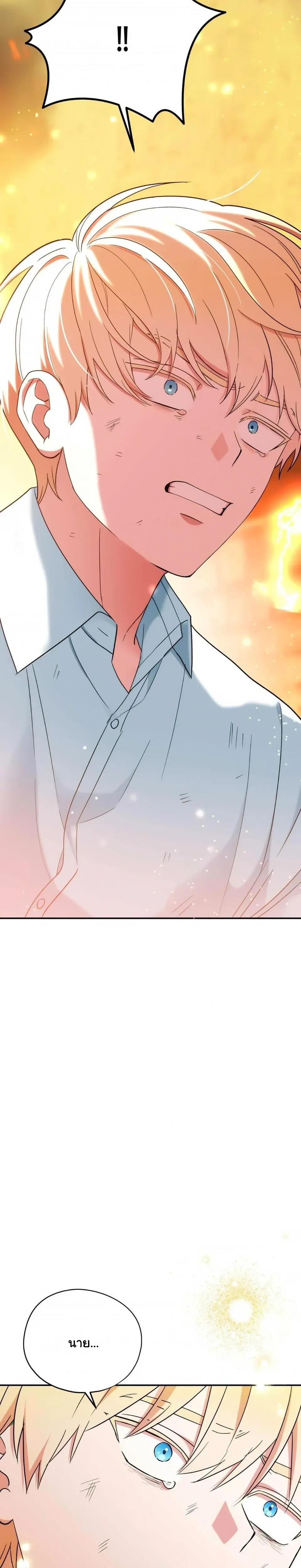 The Atmosphere of the Novel is in Crisis หน้า 31