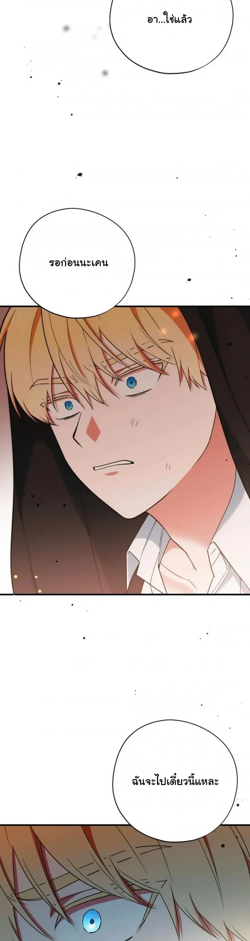 The Atmosphere of the Novel is in Crisis หน้า 15