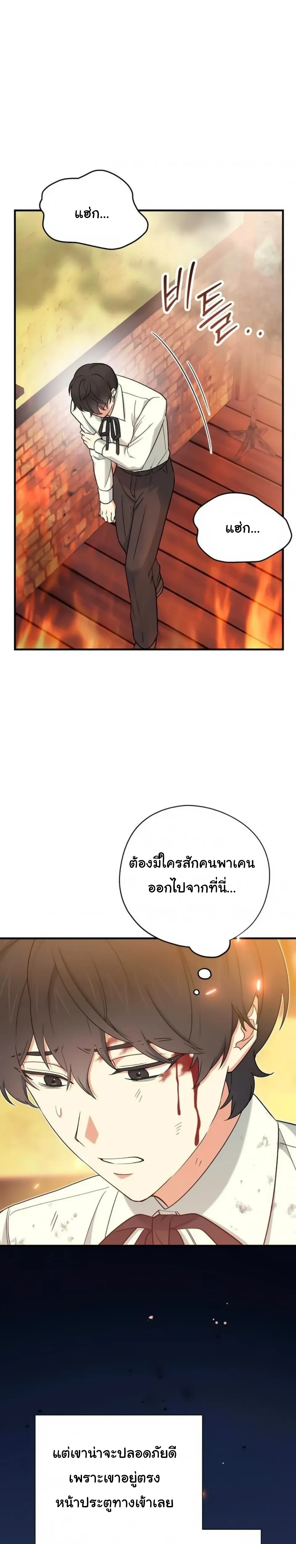 The Atmosphere of the Novel is in Crisis หน้า 29