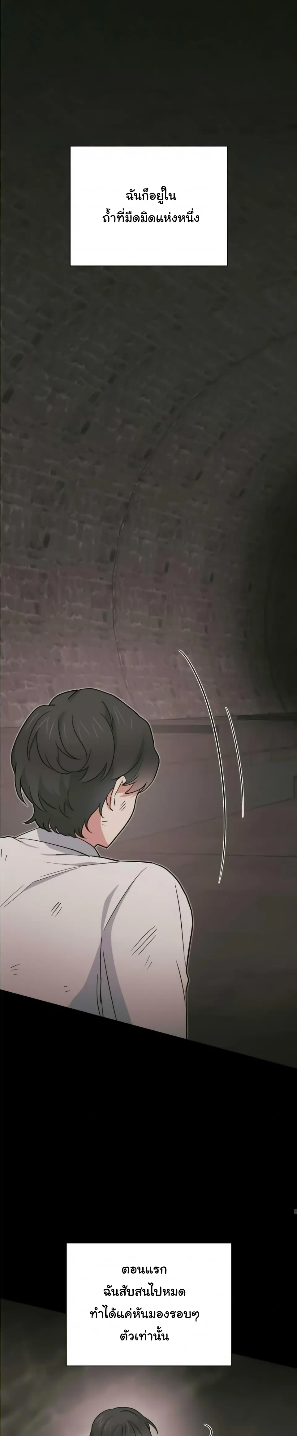 The Atmosphere of the Novel is in Crisis หน้า 27