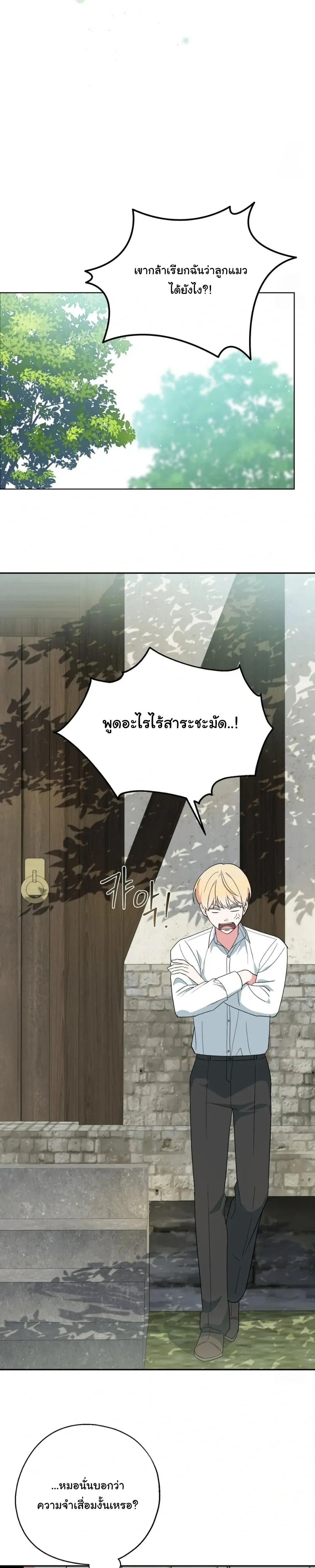 The Atmosphere of the Novel is in Crisis หน้า 13