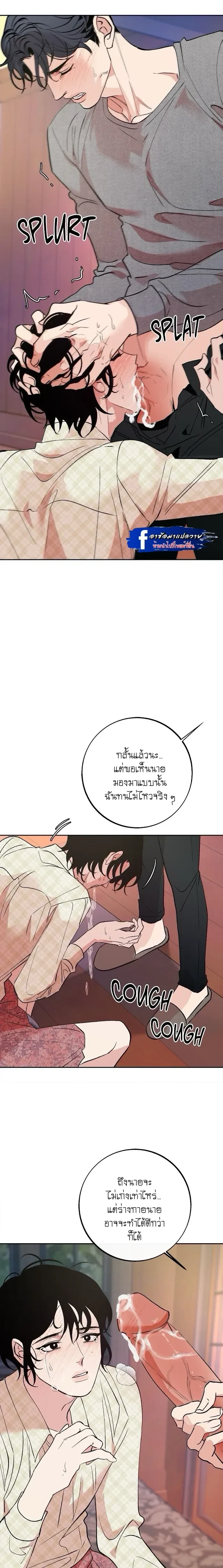 Saha หน้า 12
