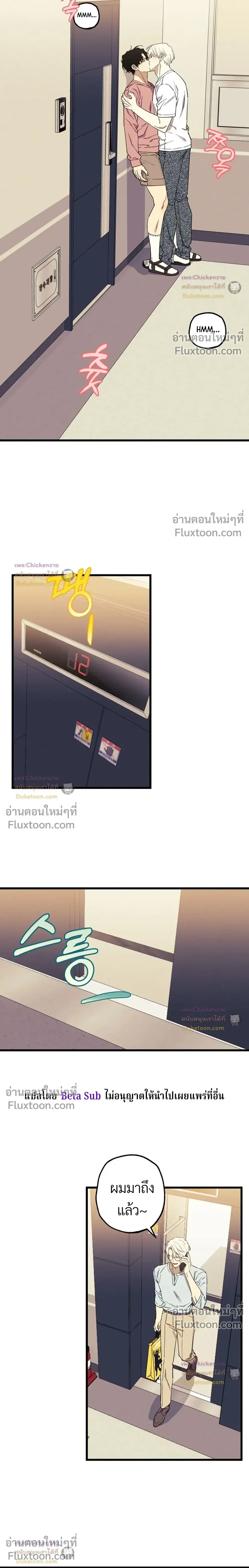 Unusual Families หน้า 19