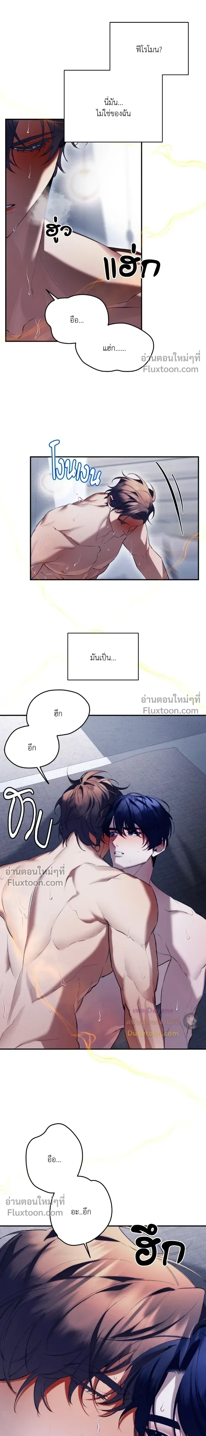 The Muse หน้า 13