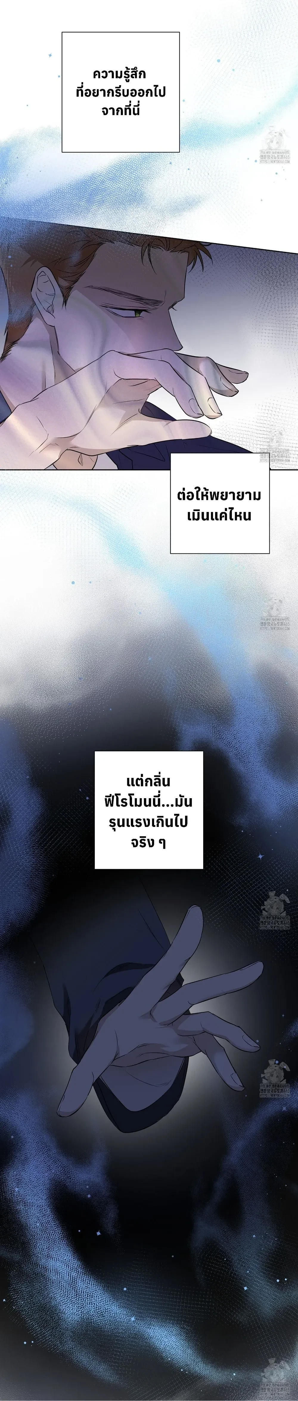 My Omega is Absolutely Perfect หน้า 13