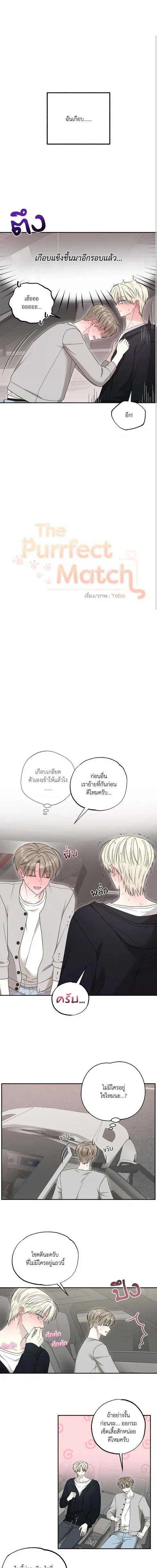 The Purrfect Match หน้า 1