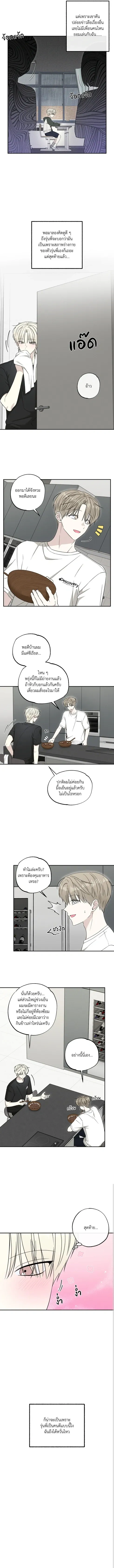 The Purrfect Match หน้า 11
