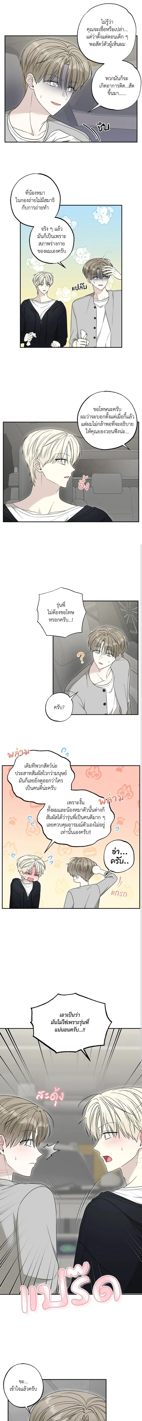 The Purrfect Match หน้า 3