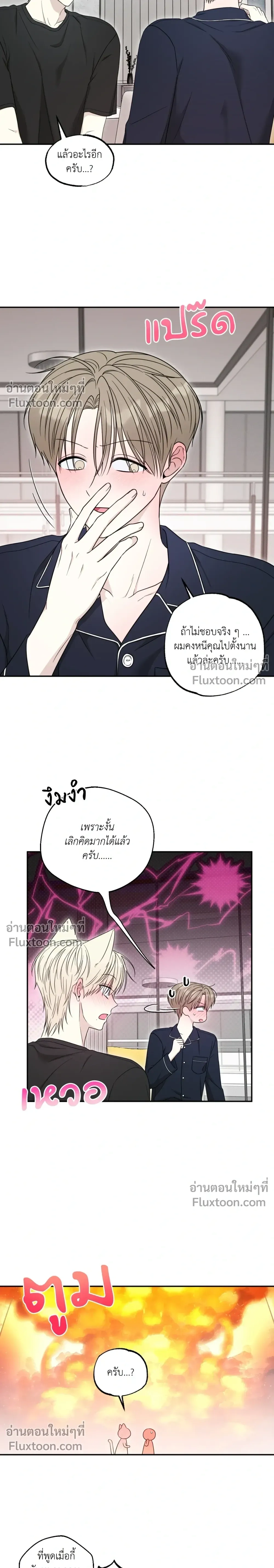 The Purrfect Match หน้า 11