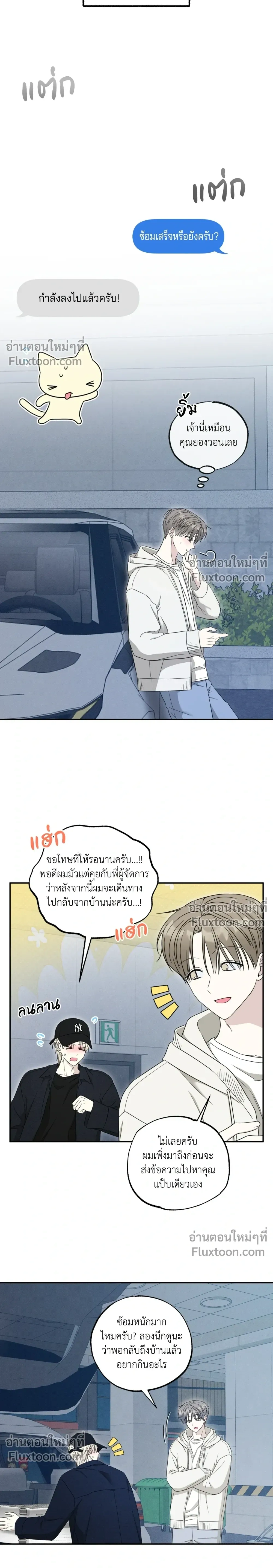 The Purrfect Match หน้า 14