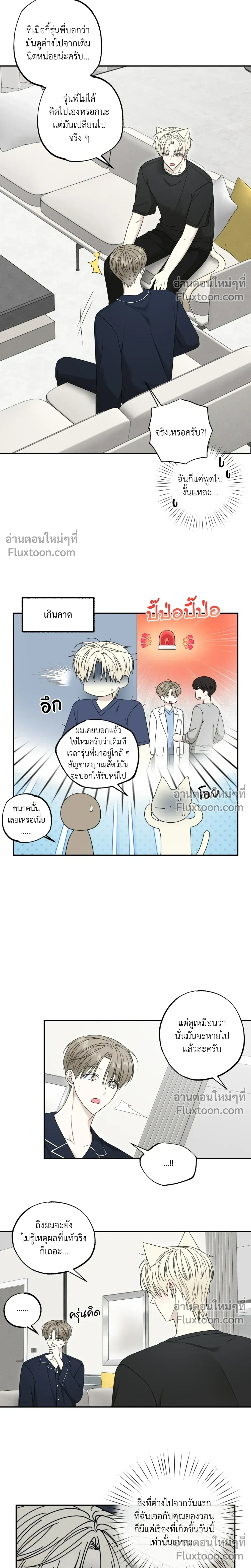 The Purrfect Match หน้า 5