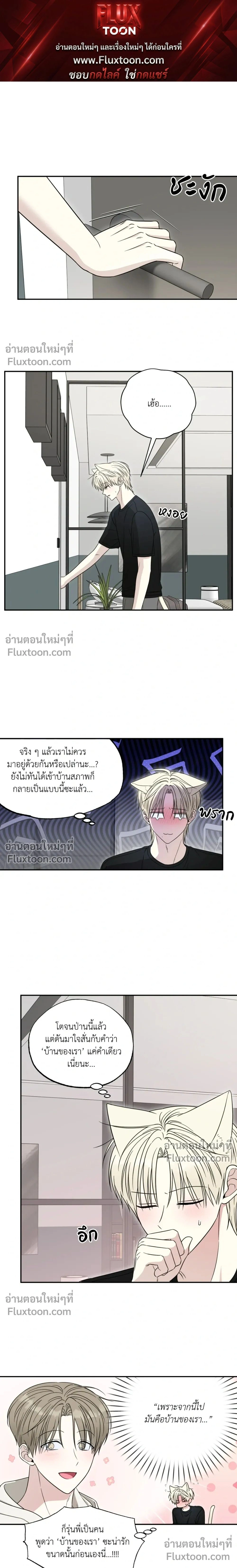 The Purrfect Match หน้า 1