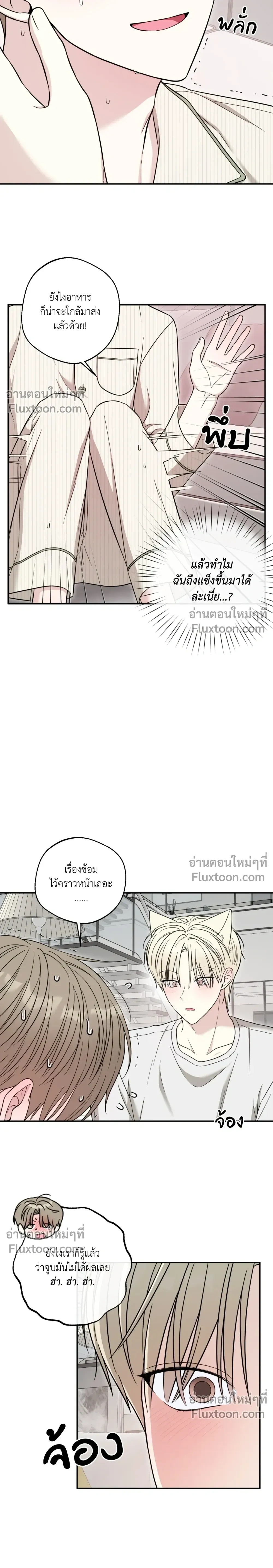 The Purrfect Match หน้า 11