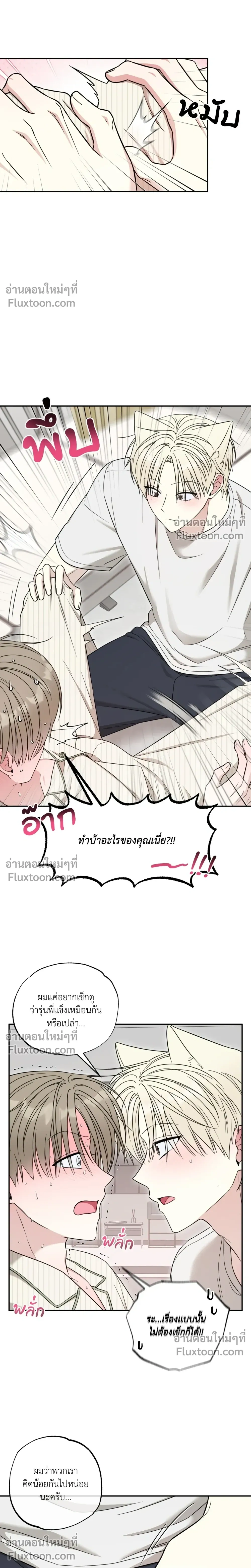 The Purrfect Match หน้า 12