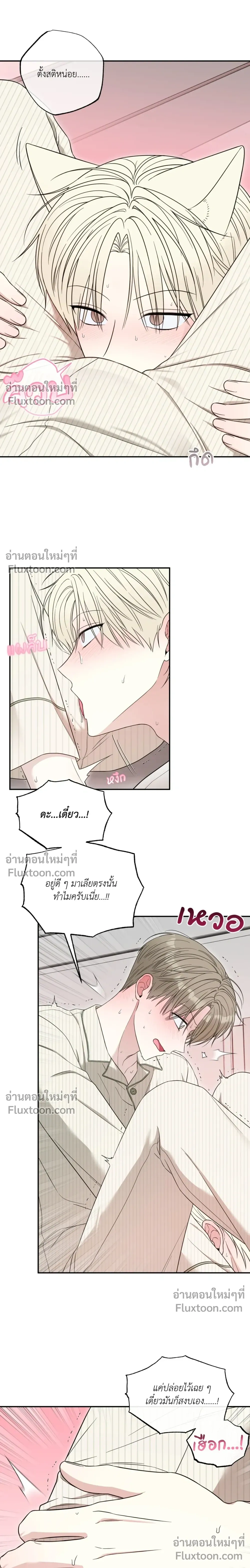 The Purrfect Match หน้า 15