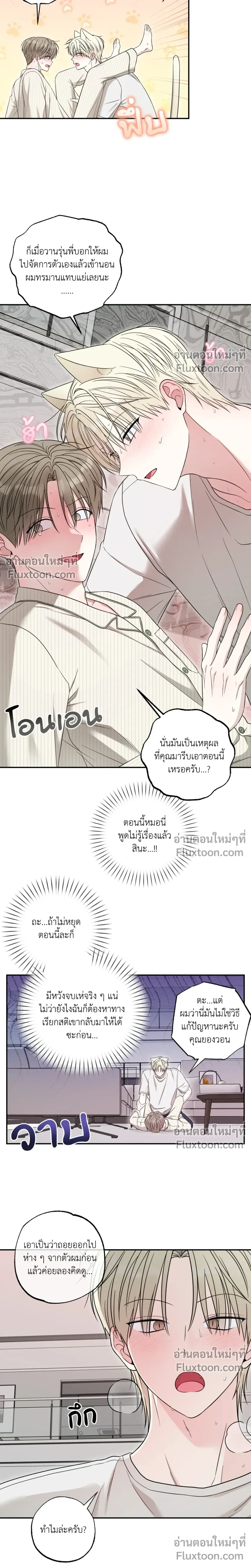 The Purrfect Match หน้า 17