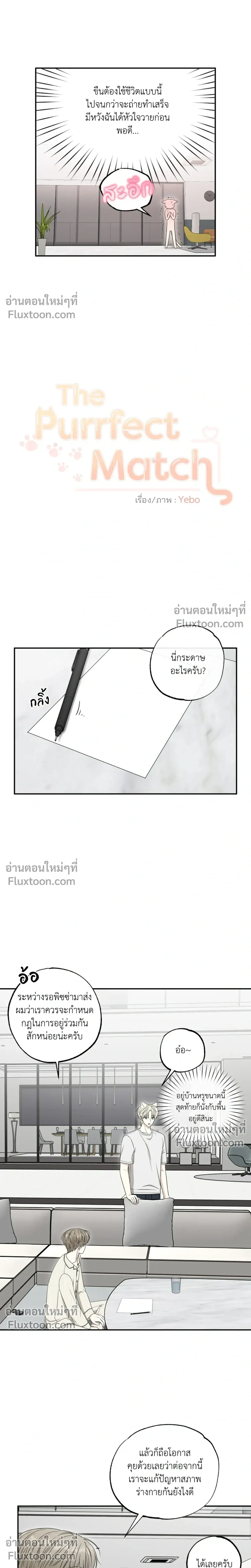 The Purrfect Match หน้า 3