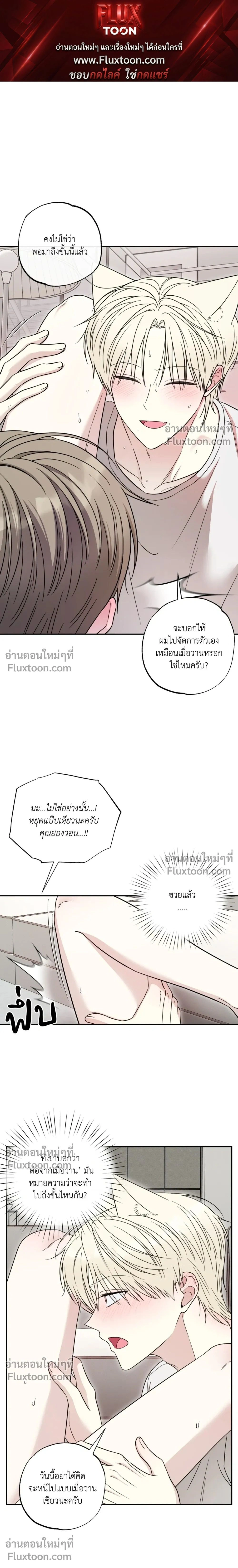 The Purrfect Match หน้า 1