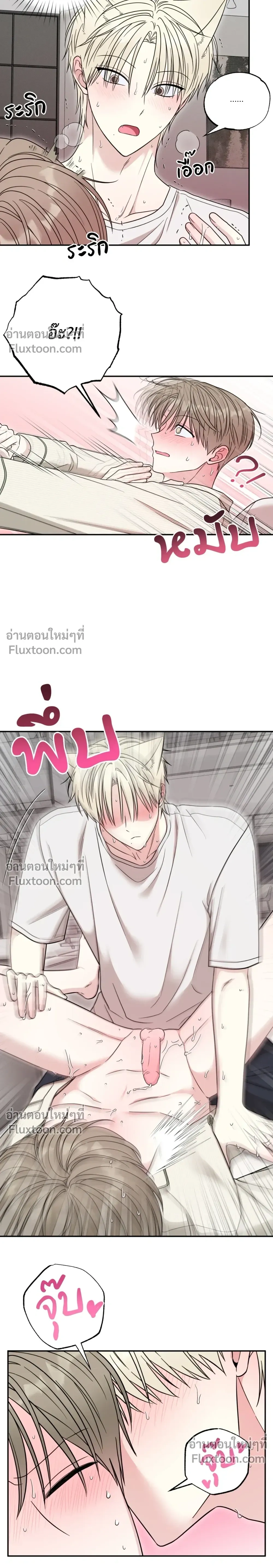 The Purrfect Match หน้า 14