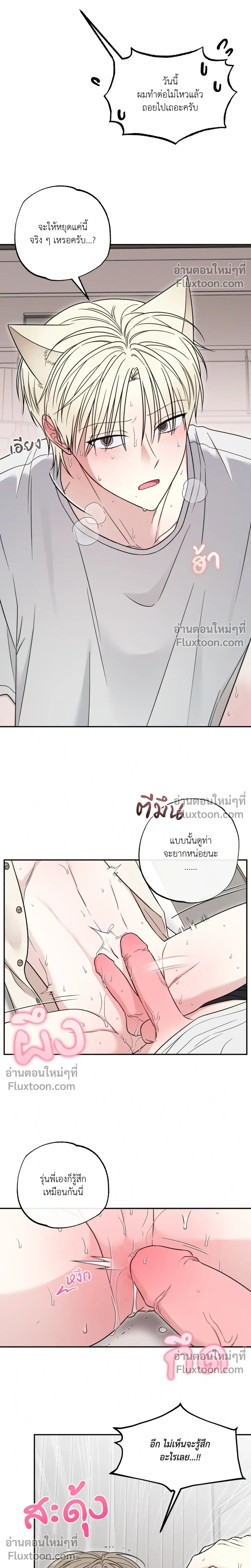 The Purrfect Match หน้า 15