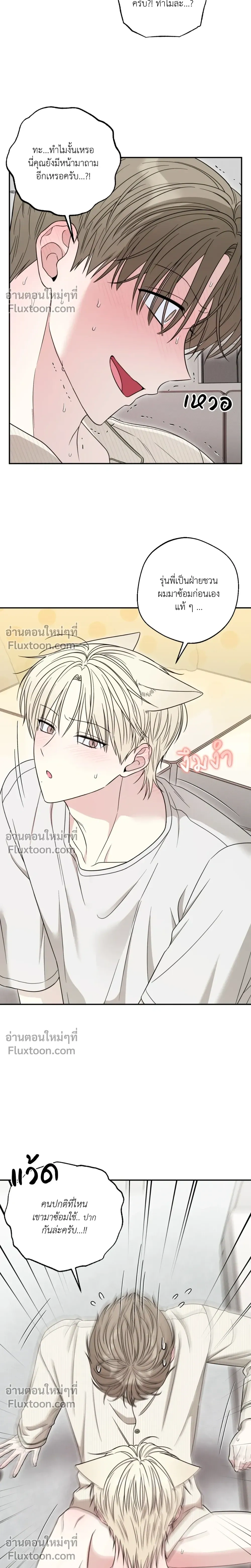 The Purrfect Match หน้า 3