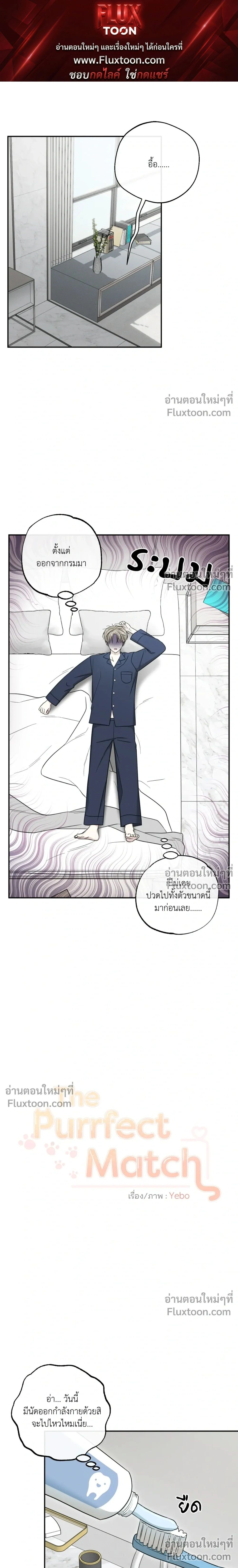 The Purrfect Match หน้า 1