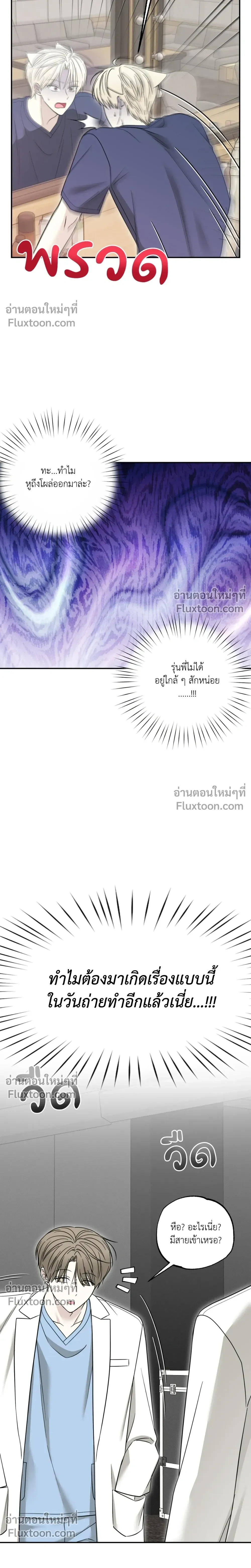 The Purrfect Match หน้า 17