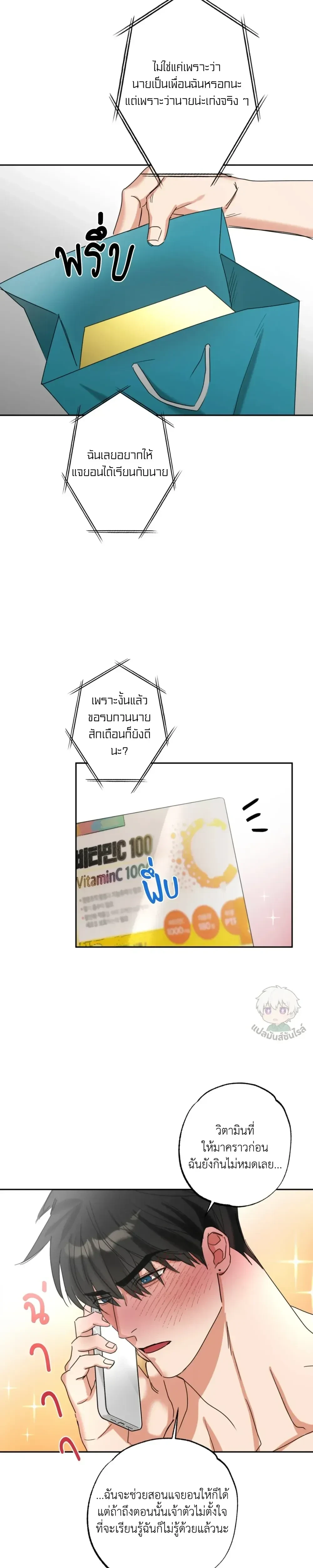 Heat Protectant หน้า 17