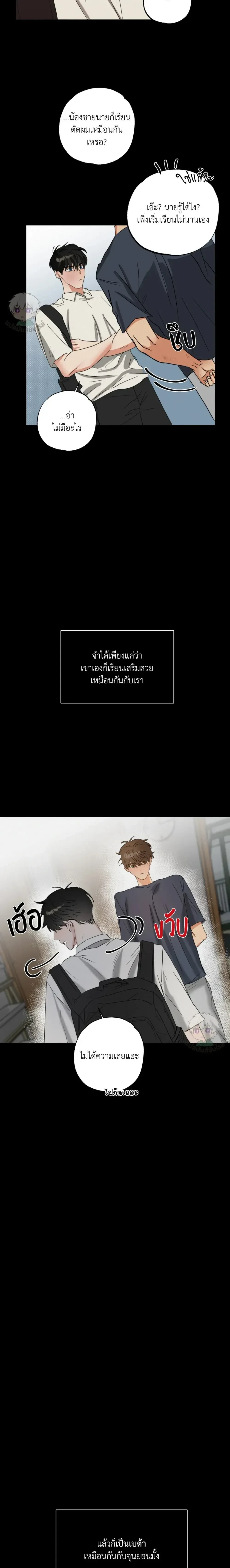 Heat Protectant หน้า 4