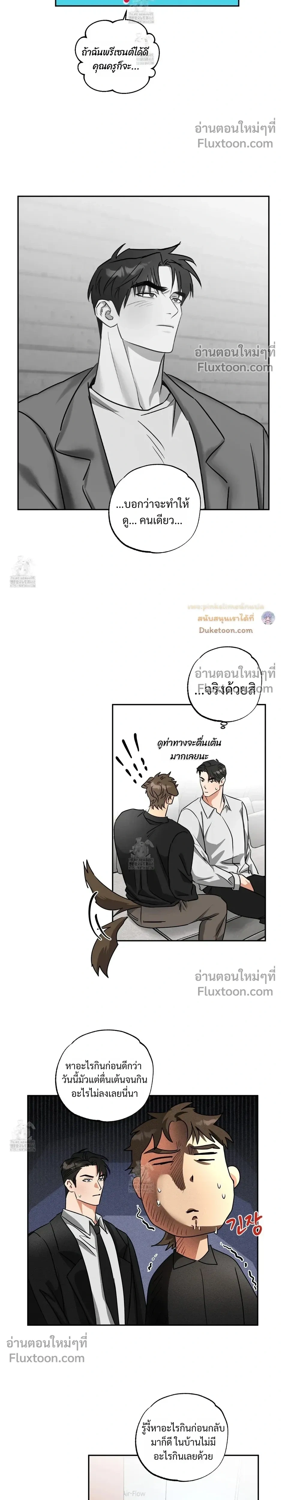 Heat Protectant หน้า 13