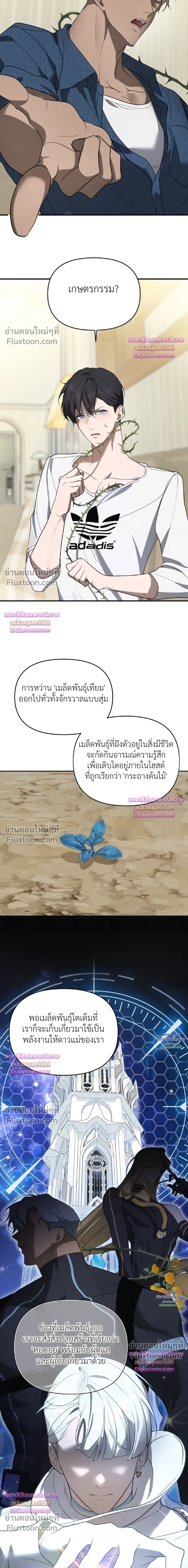 Nebulae หน้า 21