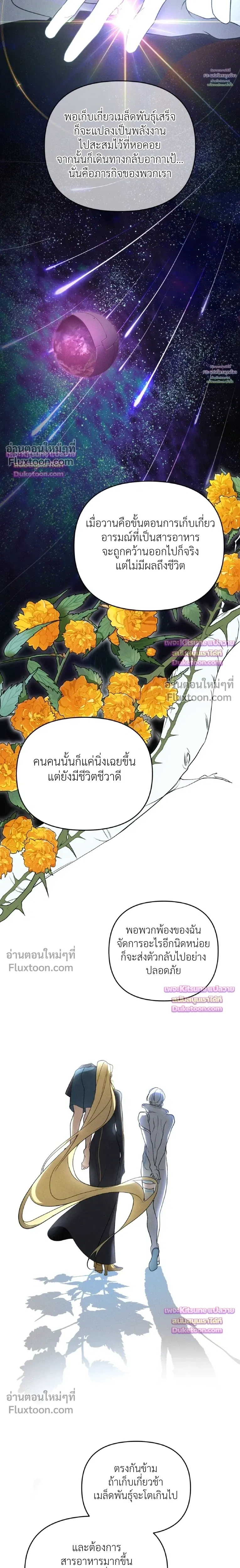 Nebulae หน้า 22