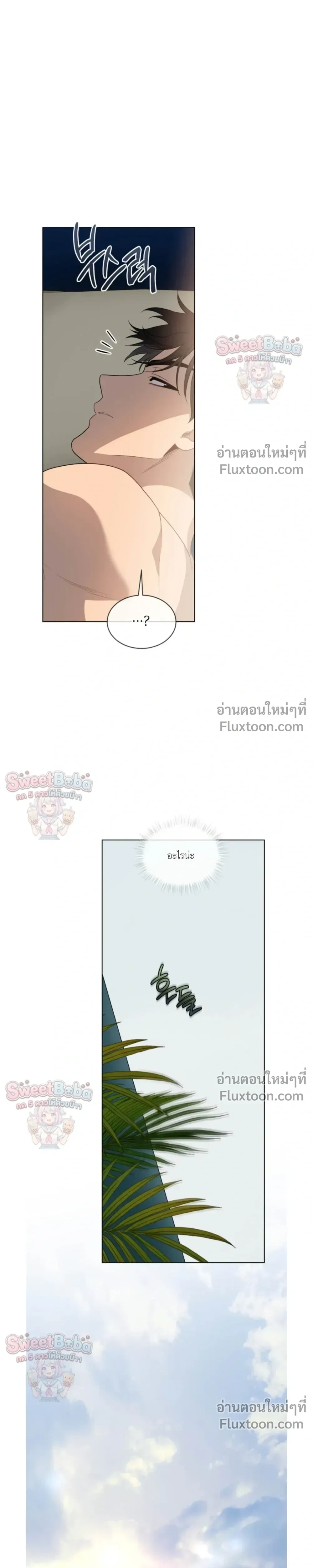 Passion หน้า 13