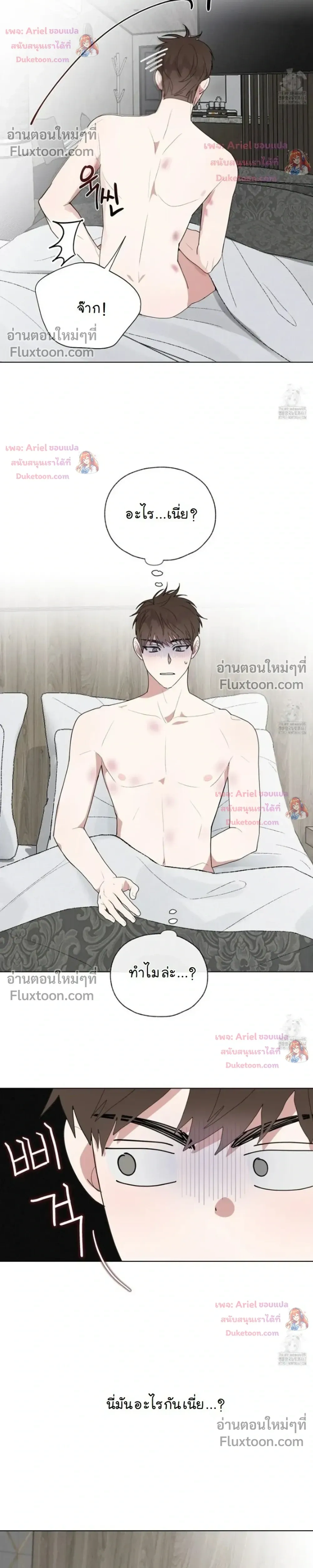 Luck Dice – เดิมพันรัก ลูกเต๋าแห่งโชคชะตา หน้า 2