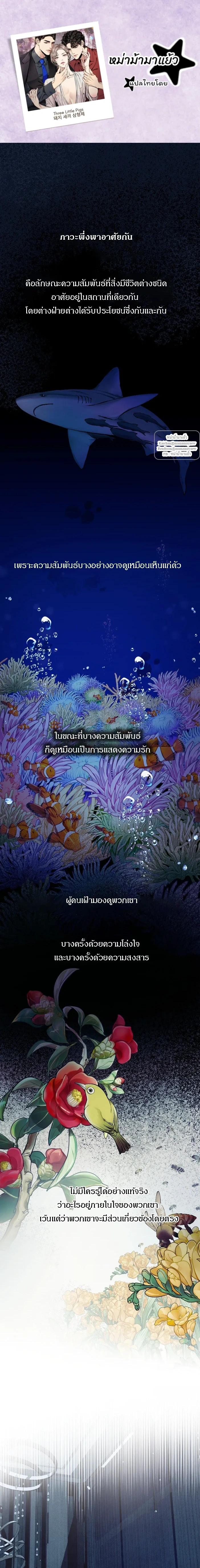 Wilderness หน้า 1